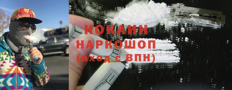 Cocaine Fish Scale  mega ONION  Заводоуковск  что такое  