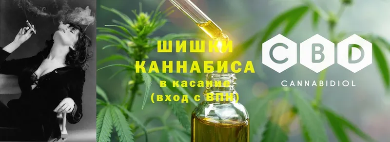 Конопля Amnesia  Заводоуковск 